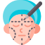 Cosmetic Surgery category icon