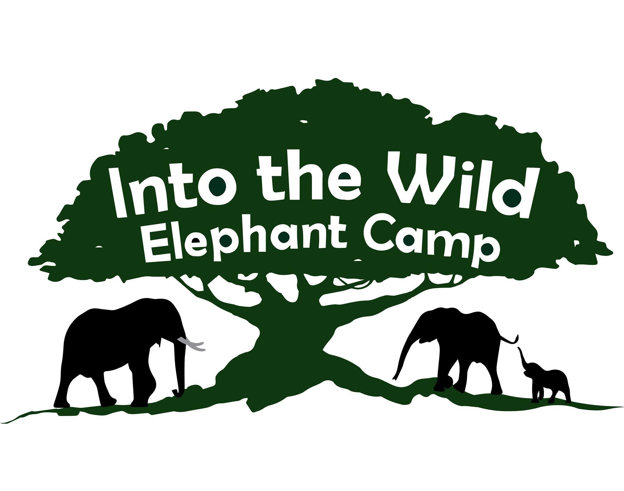 Into the Wild Elephant Camp