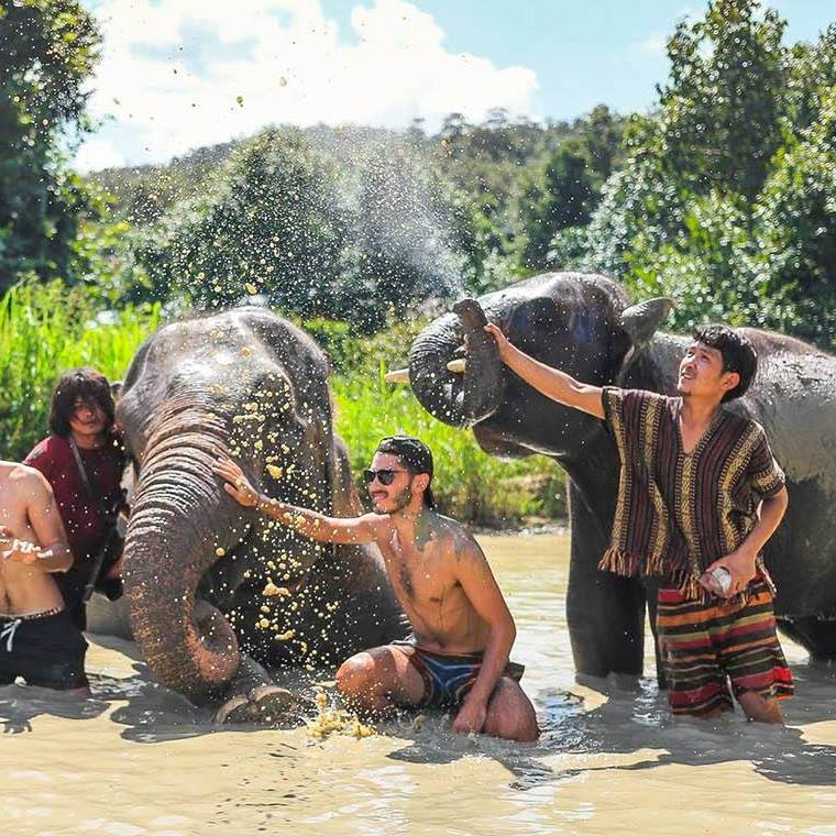 Thong Elephant Sanctuary