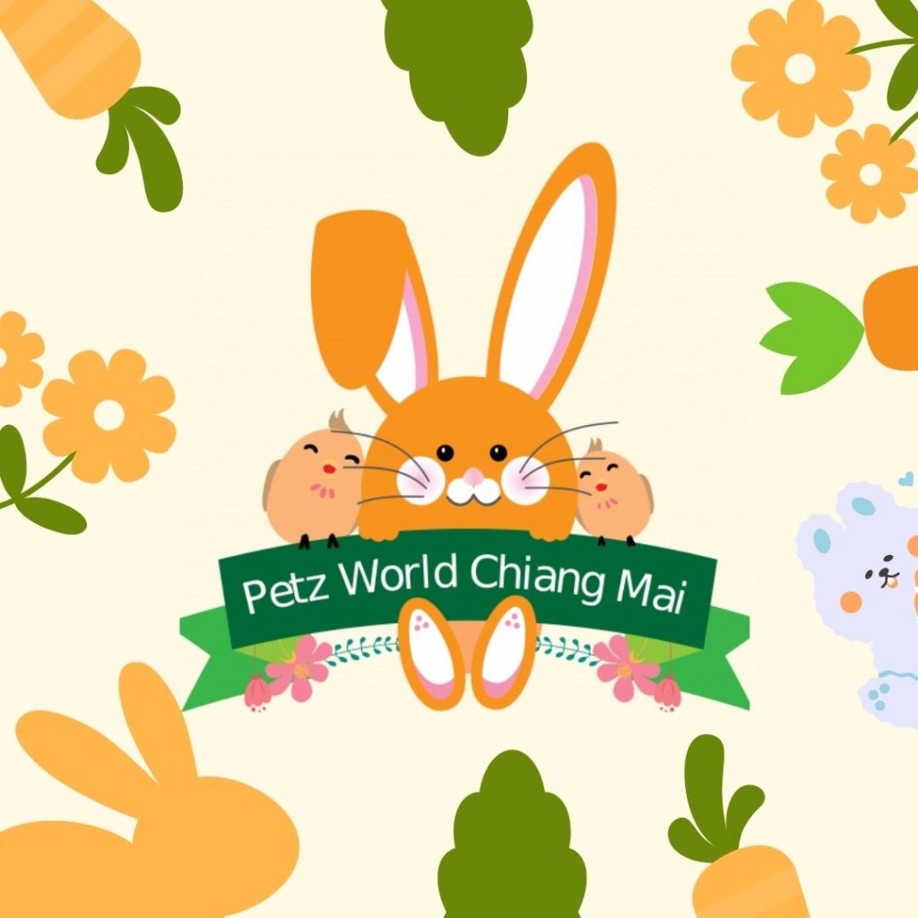 Petz World  Chiang Mai