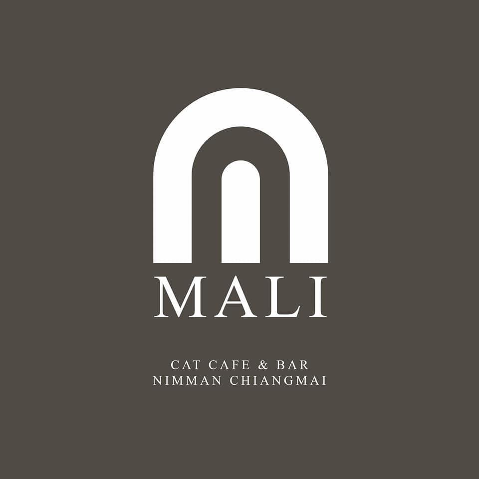 Mali cat cafe & Bar Nimman Chiang Mai